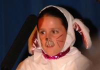 Click for larger size