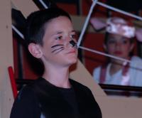 Click for larger size