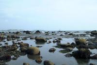 Click for larger size