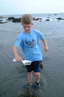 Click for larger size