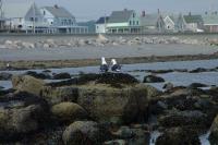 Click for larger size