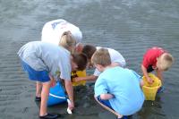 Click for larger size