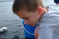 Click for larger size