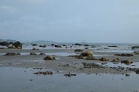 Click for larger size