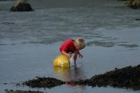 Click for larger size