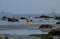 Click for larger size