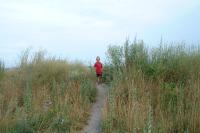 Click for larger size