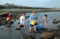 Click for larger size