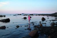 Click for larger size