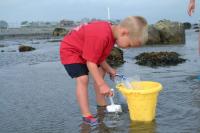 Click for larger size