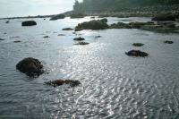 Click for larger size