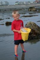 Click for larger size