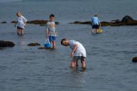 Click for larger size