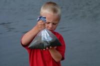 Click for larger size