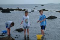 Click for larger size