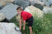 Click for larger size