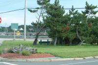 Click for larger size