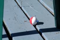 Click for larger size