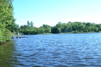 Click for larger size