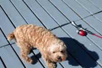 Click for larger size