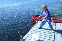 Click for larger size