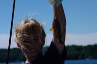 Click for larger size