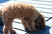 Click for larger size