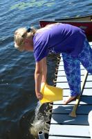 Click for larger size