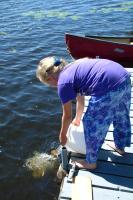 Click for larger size