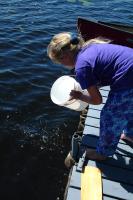 Click for larger size