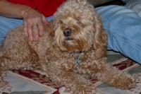 Click for larger size