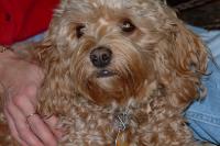 Click for larger size