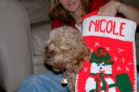 Click for larger size