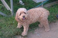 Click for larger size