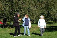 Click for larger size