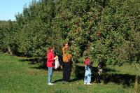 Click for larger size