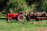 Click for larger size