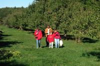 Click for larger size