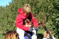 Click for larger size