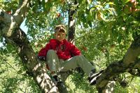 Click for larger size