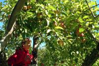 Click for larger size