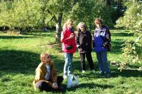 Click for larger size