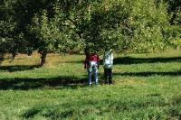 Click for larger size