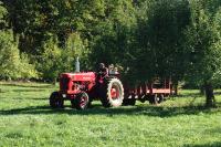 Click for larger size