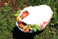 Click for larger size