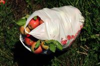 Click for larger size