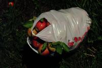 Click for larger size