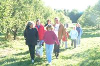 Click for larger size