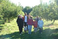 Click for larger size