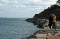 Click for larger size